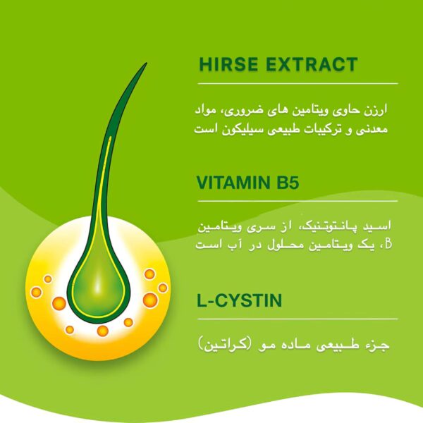 کپسول‌های PRIORIN Bayer – مکمل تخصصی برای تقویت رشد مو و کاهش ریزش موی ارثی و هورمونی، حاوی ترکیبات مغذی برای سلامت فولیکول‌های مو.